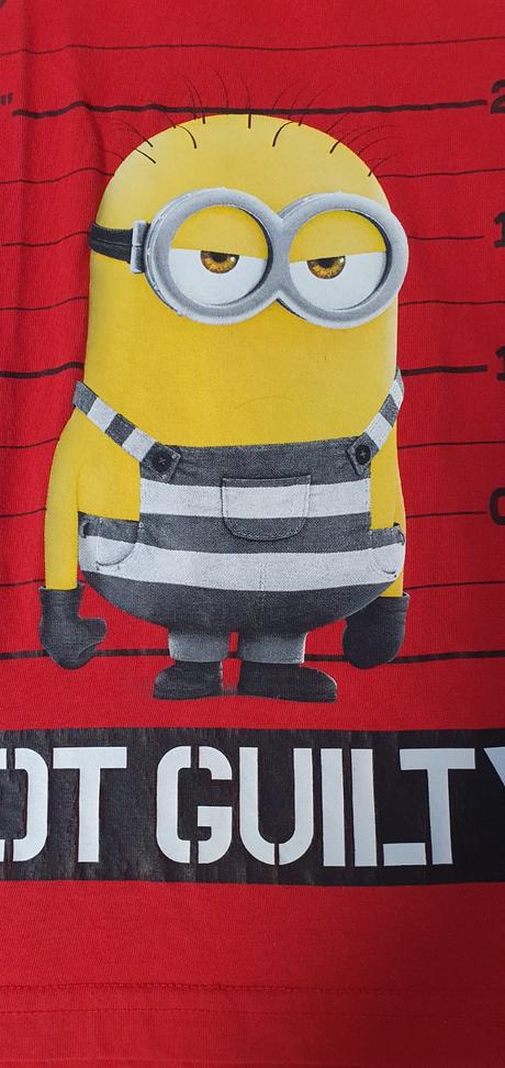 Tricko 116 minion, 116