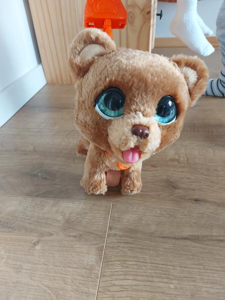 Full real zvieratko na voditku, 