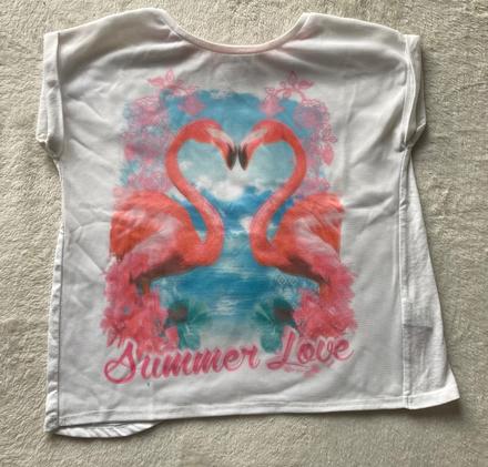 Tričko s plameniakmi, f&f,128