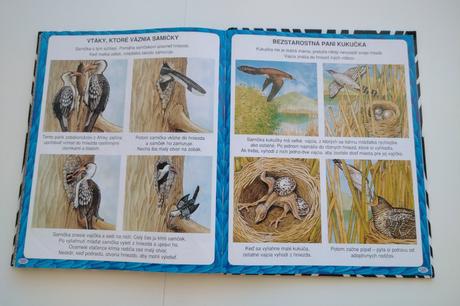 Obrázky rekordov zvierat, 