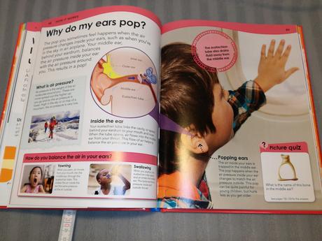 Why si blood red   sp22, 