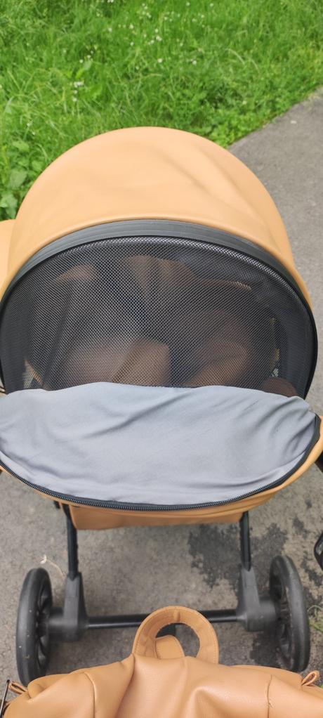 Anex e-type, anex,anex e/type