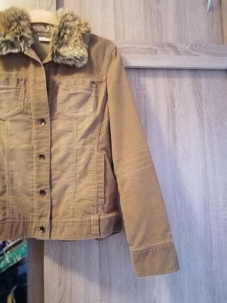 Mencestrova bundička biaggini, 38