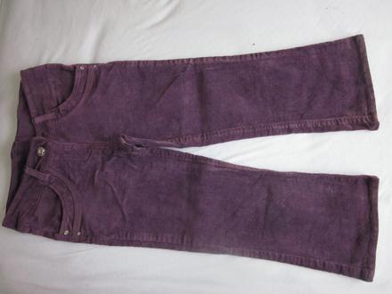 Nenosené menčestráky, st. bernard,116