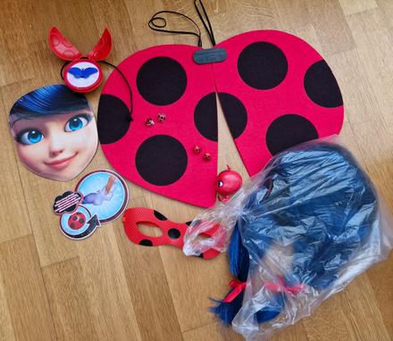 Kostým čarovná lienka,