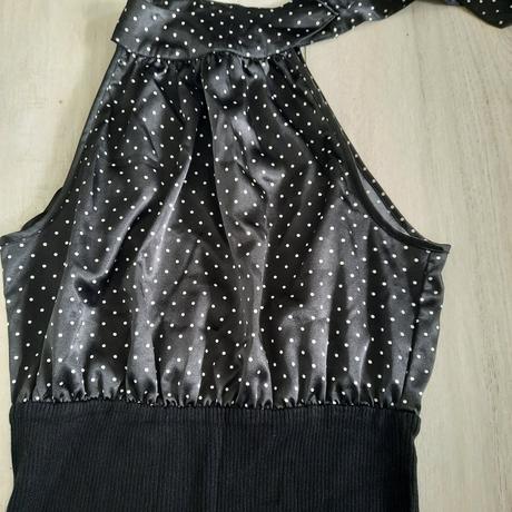 Bodkovaný top, 38