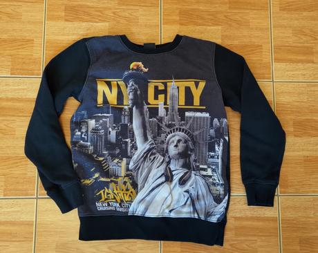 Mikina new york, chapter young,146