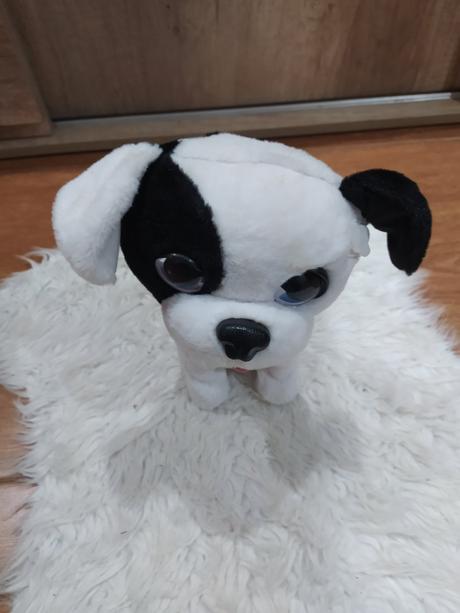 Interaktívny psík bowie, 