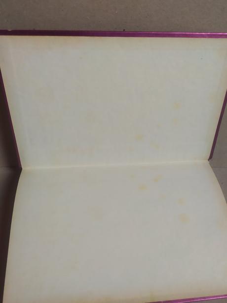 Hazardná hra, lavyrle spencerová,