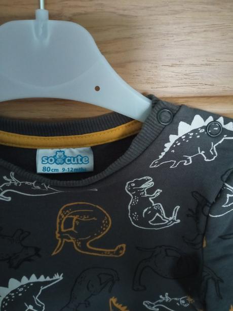 Tepláky, mikiny, body dino, ježko, maskáčové, pepco,80