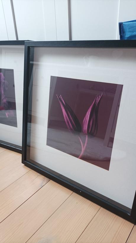 Rámiky s obrazom kvetov, 