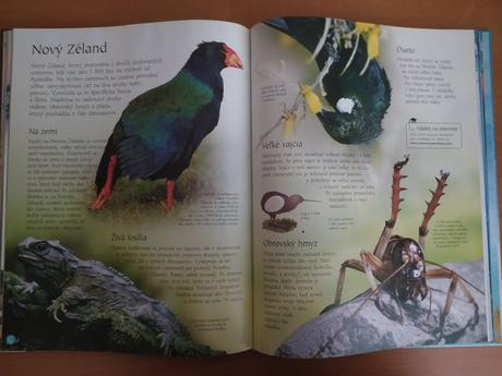 Svet zvierat (2005), 