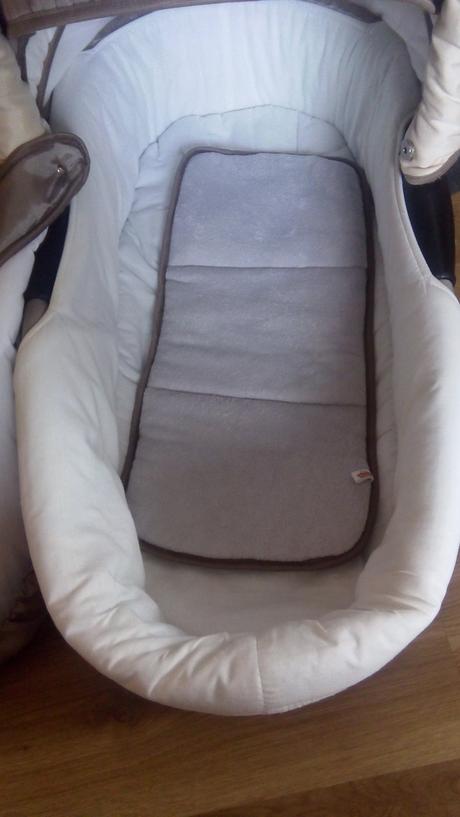 Kočik, tako,tako captiva mohican