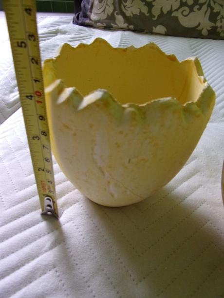 Vetináč vajíčkova škrupina, 