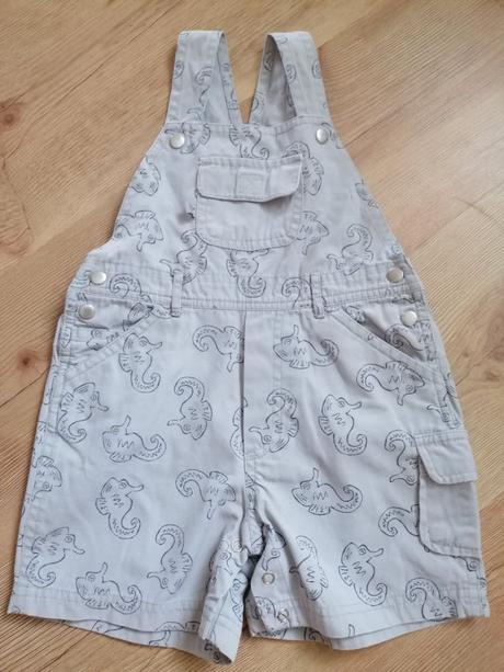 Sivé kraťasy na traky, 80