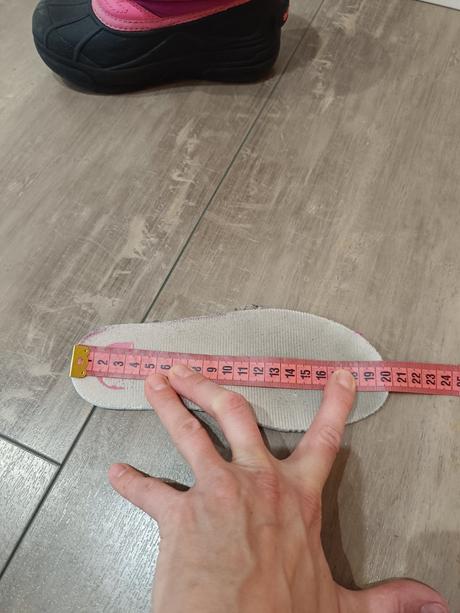 Snehule sorel, sorel,31