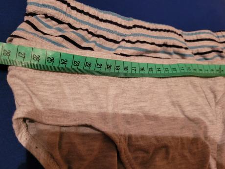 Slipy, st. bernard,140