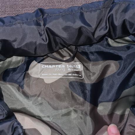 Vesta, chapter young,146