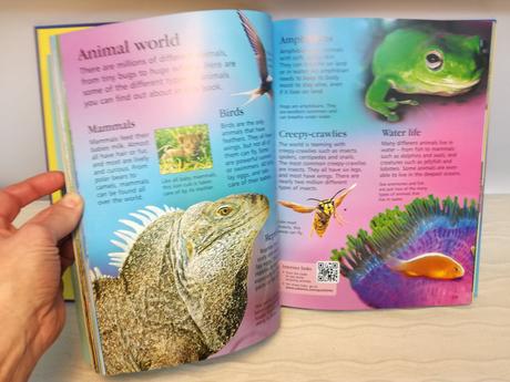 The usborne children's encyclopedia,
