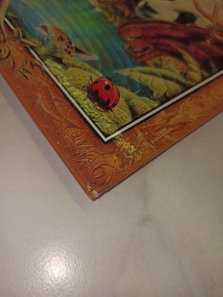 Graeme base - the water hole, 