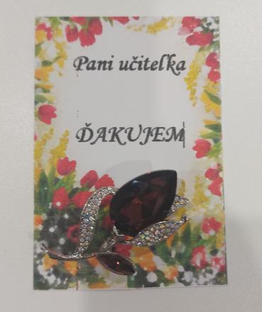 Brošňa pre pani učiteľku, 