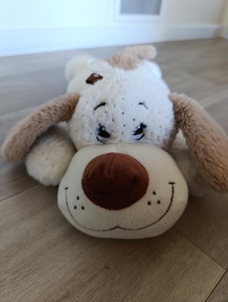 Plyšový psík,