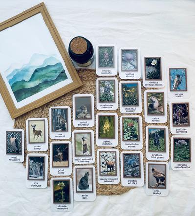 Flóra a fauna vo vysokých tatrách,