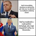 ovplyvnovanie volieb zo zahranicia zjavn