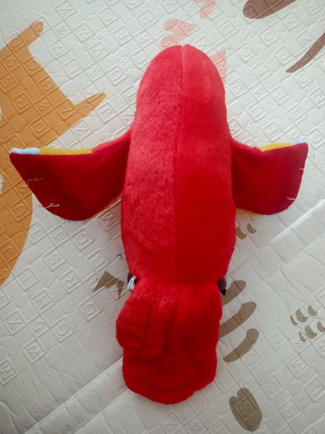 Opakujúci papagáj, 