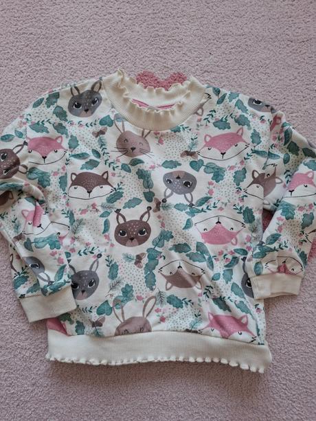 Mikina little kids, 116