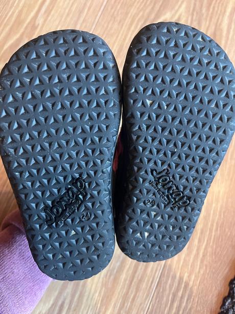 Jonap prechodne, jonap,24