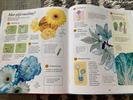 365 výskumných úloh,