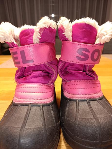 Snehule sorel, sorel,28