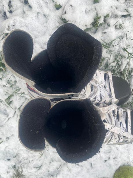 Korcule bauer vapor striker, bauer,42