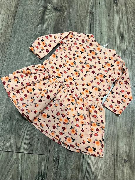 Saty coccordillo, coccodrillo,62