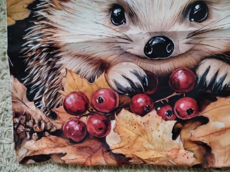 Obliečka na vankúš 45x45cm, šírka (cm): 45,dĺžka (cm): 40