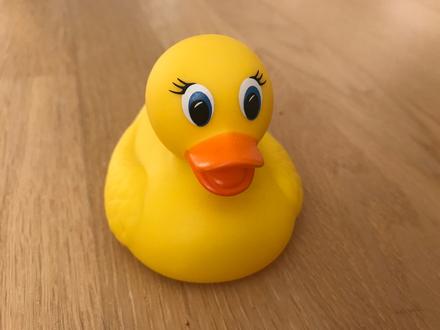 Kačička so snímačom teploty zn.munchkin, 