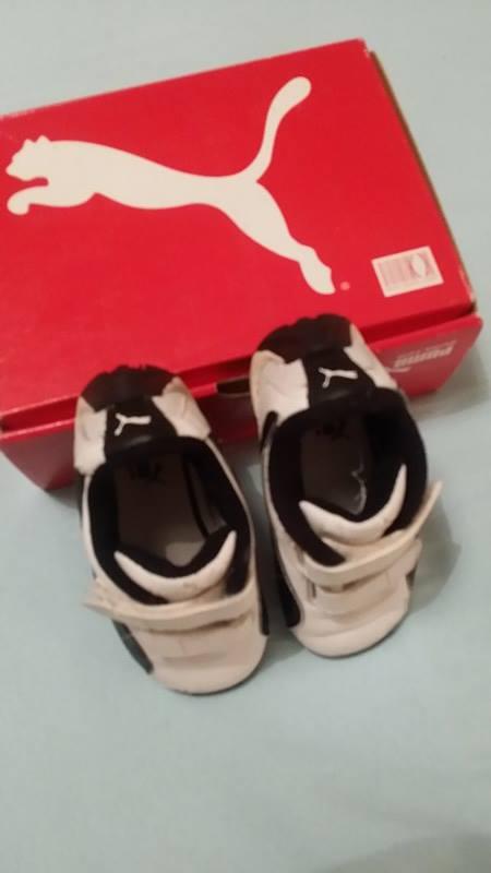 Botasky, puma,20
