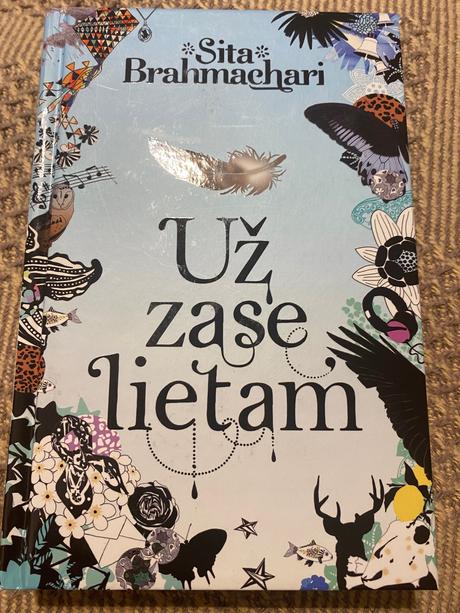 Už zase lietam sita brahmachari, 