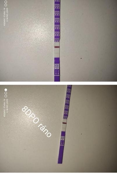 Spoľahlivý test - duch na teste