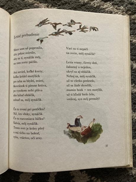 Čarokruh - jan čarek (1983), 