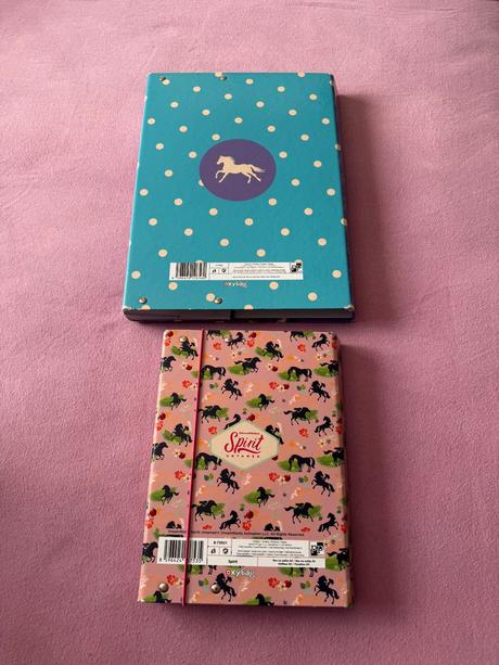 Školské dosky kon, 