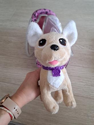 Simba čivava,
