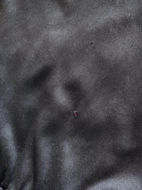 Halloweensky kostým, 