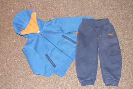 Teplakova suprava, puma,86