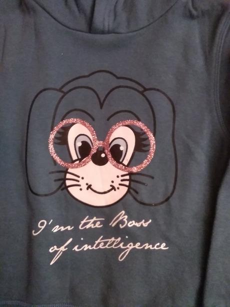 Mikina, terranova,110