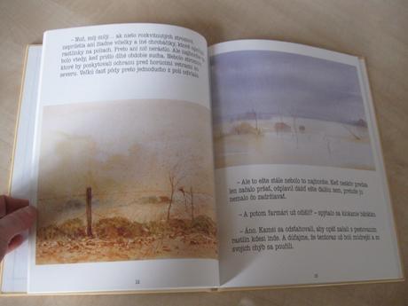 Knižka - zázrak v údolí strýčka billyho,