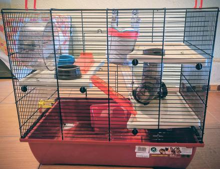 Klietka škrečok, morča, králik, 