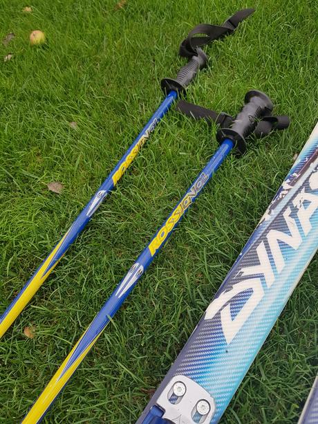 Lyže dynastar, dynastar,170-180 cm