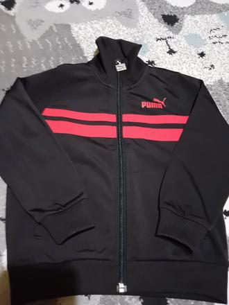 Mikina, puma,116